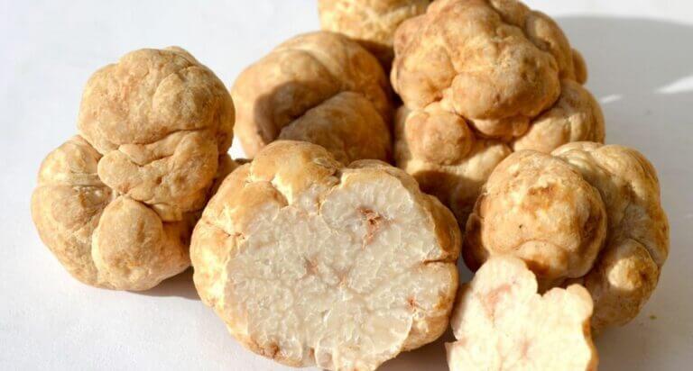 Comment cuisiner de la Truffe Blanche
